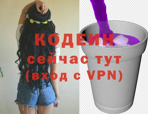 амф Богородицк