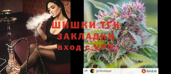 амф Богородицк
